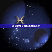 老鼠和兔子婚配真的很不好，生肖配对真的很准吗兔真的不能和属鼠的人结婚吗