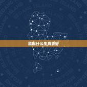 鼠配什么生肖更好，鼠配鼠的婚姻好不好
