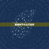 属猪的干什么行业好，属猪的做什么职业好呢