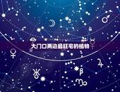 大门口两边最旺宅的植物，农家院子大门外门口两边栽什么树好