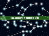 1984年农历3月的鼠是什么命，1984年3月初三12点女鼠什么命