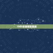 1995年猪婚配属相，1991年属羊的与1995年属猪的相配吗