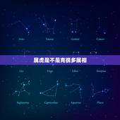 属虎是不是克很多属相，我属蛇男友属虎，我们很相爱，但我父母说属相不合，