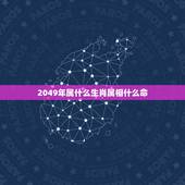 2049年属什么生肖属相什么命，属相年份