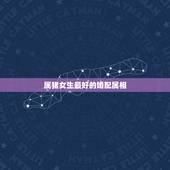 属猪女生最好的婚配属相，属猪的女性和什么属相最配