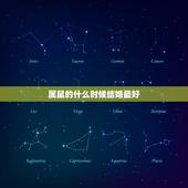 属鼠的什么时候结婚最好，两人都属鼠几月结婚好