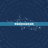 甲辰年在辛丑年运势，甲辰运逢甲辰年岁运并临吉凶如何？