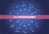 2022桃花劫年龄表图片，2021年十二生肖年龄对照表