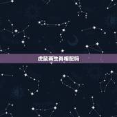 虎鼠两生肖相配吗，男属虎与女属鼠合不合