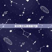 鼠女配什么属相最不配，属鼠女配相什么配相