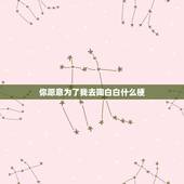 你愿意为了我去陶白白什么梗，陶白白是什么意思？