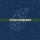 78年马和79年羊做夫妻合吗，1979年男和1978年女的婚
