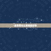 金命和什么属相最好命，金命配什么命最合适
