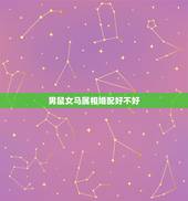 男鼠女马属相婚配好不好，属相婚配：男属马和女属鼠相配吗