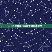 十二生肖每日运势查询水墨先生，水墨先生生肖运势天天看