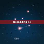 2008年出生的属什么，2008年出生的，属什么？