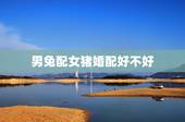 男兔配女猪婚配好不好，兔和猪属相合不合，相配吗？