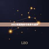 2022年属兔的今年多大虚岁，2022年属兔