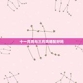 十一月鸡与三月鸡婚配好吗，三月的鸡和十一月的鸡相配是好婚姻吗