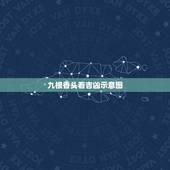 九根香头看吉凶示意图，如何看香头