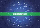 属龙和属羊相配吗，属羊与属龙的缘分