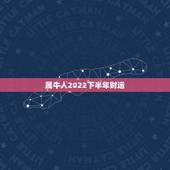 属牛人2022下半年财运，生肖牛2022 年运势大全