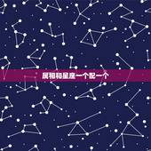 属相和星座一个配一个，生肖配对和星座配对哪个准？