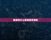属猪和什么属相相克相配，猪和虎相冲吗相克吗