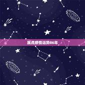 属虎感情运势86年，86年女虎2022 年婚姻怎样