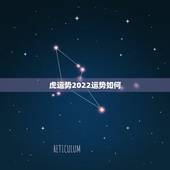 虎运势2022运势如何，2022年属虎的本命年好不好