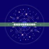 属相是牛和羊能合婚吗，女属牛男属羊属相是和结婚吗