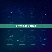 十二生肖49个数字表，十二生肖共几门有哪些数字