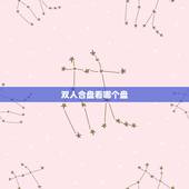双人合盘看哪个盘，合盘看真爱看什么盘