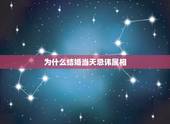 为什么结婚当天忌讳属相，结婚忌讳属相