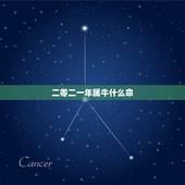 二零二一年属牛什么命，97年属牛的是什么命