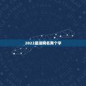 2022最潮网名两个字，2021最火的网名女两字