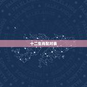 十二生肖配对表，十二生肖配对查询