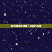 属鸡的老板用什么属相的导购，属鸡的老板找什么属相的导购最合财