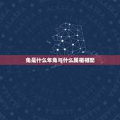 兔是什么年兔与什么属相相配，兔年跟什么属相相配