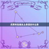 戊寅年生城头土命适合什么命，庚辰年生白蜡金命