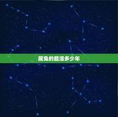 属兔的能活多少年，51年属兔生病了