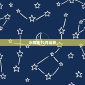 水瓶座12月运势，苏珊米勒2017年12月水瓶座运势