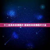 十二生肖本命佛图片 属猪的本命佛图片大全