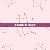 生肖属猴2022年运势，2022年属猴的重大贵人