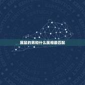 属鼠的男和什么属相最匹配，属鼠的男生和属什么的配好