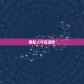 属蛇人今日运势，属蛇人永远最旺的颜色