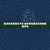 属虎和羊属相合不合 属羊男和属虎女的婚姻相冲吗