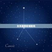 女羊跟男蛇相配吗，女羊男蛇婚姻相配吗
