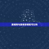 属相狗与属相羊婚配可以吗，1995年属猪会离婚吗