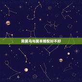 男属马与属羊婚配好不好，属马的和属羊的婚姻好吗